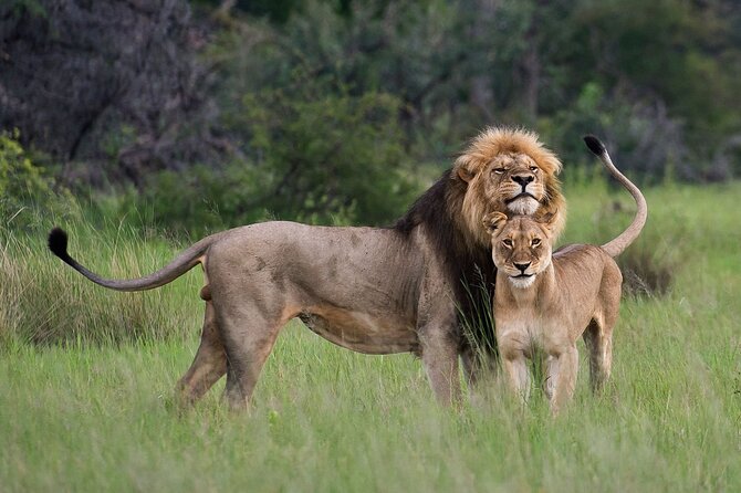 07-Days Murchison Falls, Queen Elizabeth & Gorillas Safari - Day 1: The long road to Murchison Falls