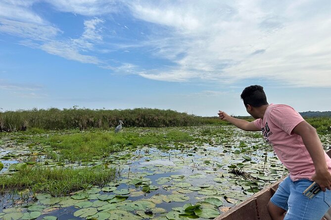 1/2 Mabamba Swamp Shoebill Tour - What the $130 Price Really Covers