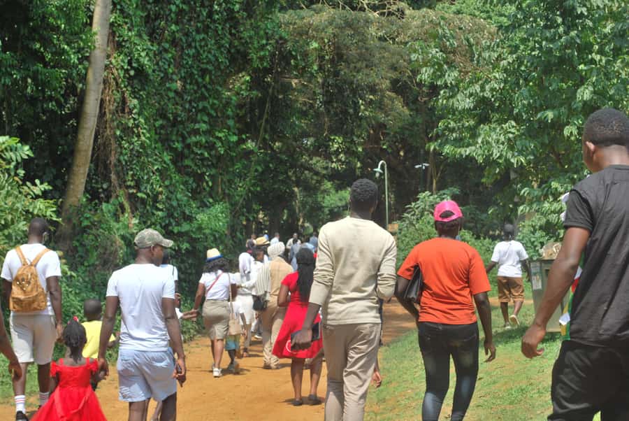 1-Day Best of Entebbe City Guided Walking Tour - Key points to know before booking