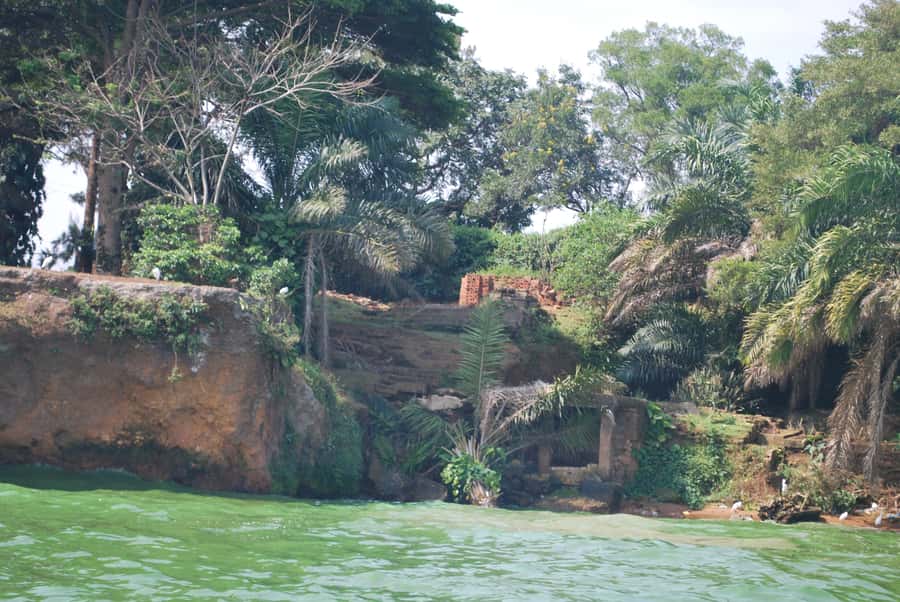 1-Day Best of Entebbe City Guided Walking Tour - Why this Entebbe walk is worth your time