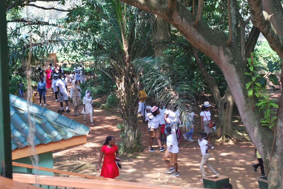 1-Day Best of Entebbe City Guided Walking Tour - Nambi fish market beside Lake Victoria