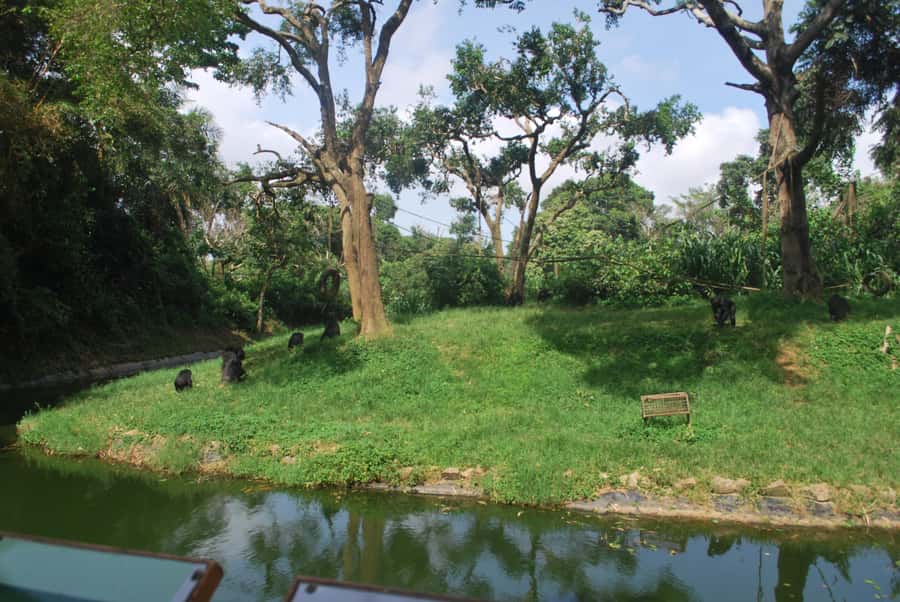 1-Day Best of Entebbe City Guided Walking Tour - Learning the story behind Uganda’s Rolex