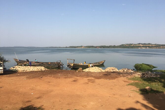 1 Day chimpanzee trekking at Ngamba Island - Crossing Lake Victoria from Waterfront Beach