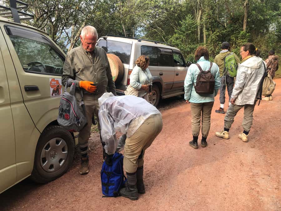 1 Day Gorilla Tour in Bwindi from Kigali - A one to six hour walk through Bwindi