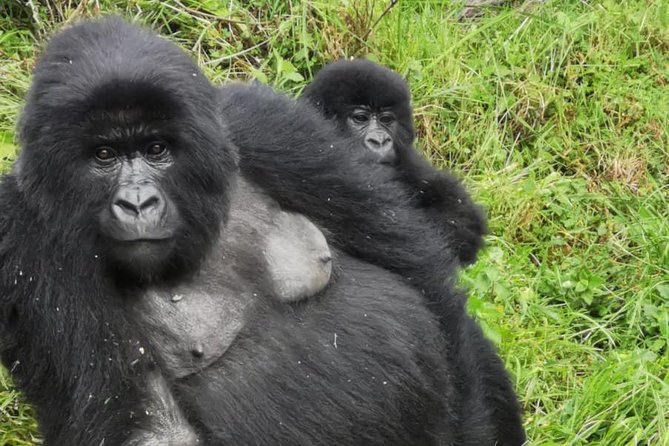 1 Day Gorilla Trekking Mgahinga Gorilla NP & Lake Bunyonyi - Before sunrise at Lake Bunyonyi