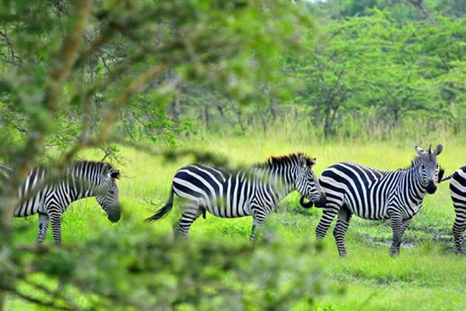1 Day Lake Mburo Tour from Kampala - The Equator stop near Kampala and Masaka Road