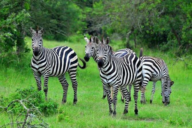 1 Day Lake Mburo Wildlife Safari - Entering Lake Mburo National Park