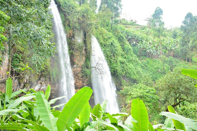 1 Day Sipi falls hike - Adding coffee, caves, or abseiling