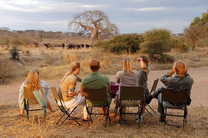 10-Day African Safari in Uganda from Kampala - Day 5: Chimpanzees and the Kibale forest