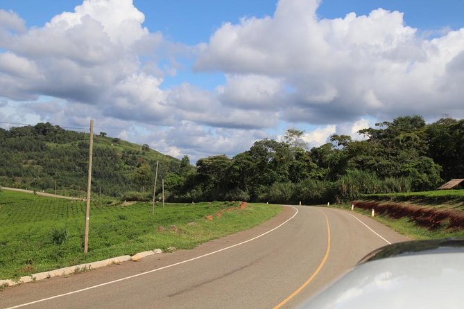 10 Day Western Uganda Budget Wildlife Safari - Day 6: toward Bwindi, with an optional forest stop