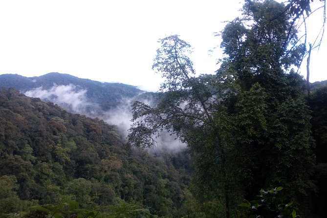 10 Days Uganda Gorilla & Chimpanzee Trekking Safari - Day 4: The long transfer to Kibale Forest