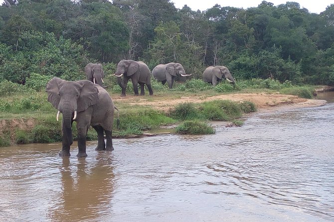 11 Days Uganda +Gorillas - Lake Bunyonyi gives the route breathing room