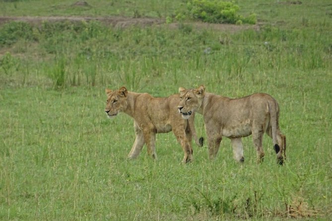 12 Days Memorable Experience tour in Uganda - What the $2,974.36 price really covers