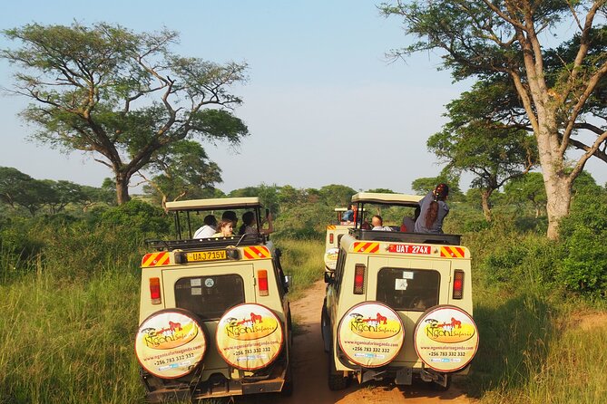 13-Day Wildlife Adventure Trip to the Pearl of Africa - Days 6 and 7: Queen Elizabeth by game drive, crater road, and water