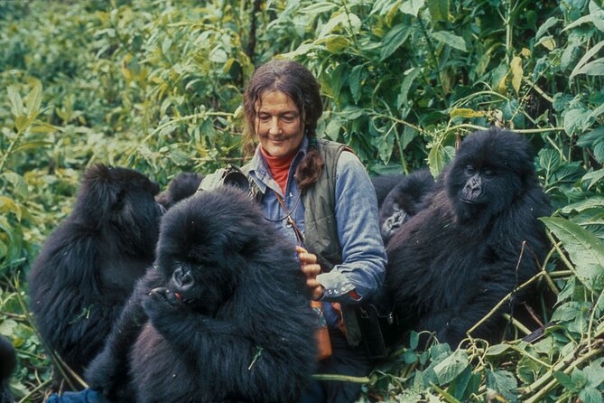 13 Days Wildlife Adventure Trip To The Pearl Of Africa - Days 1 and 2: From Entebbe to Murchison Falls