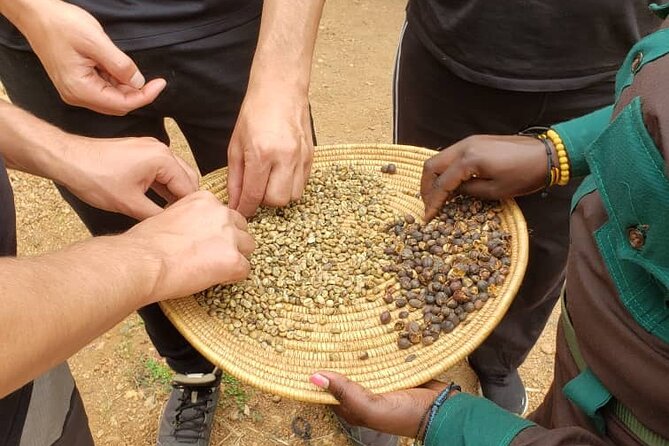 15-Day Gorilla and chimps Trekking, Big 5 and Nature Sighting Safari - Batwa culture and Lake Bunyonyi