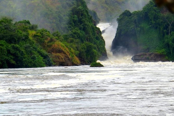 15 Day Gorillas, Chimps and Big 5 Safari Tour - Day 2: Game drive and the Nile at Murchison