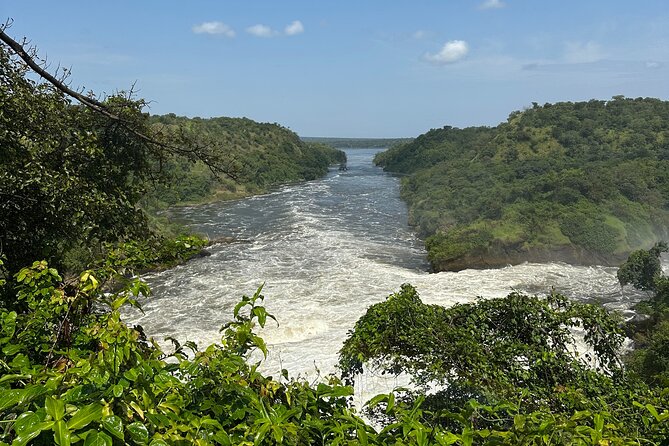 2 Days Budget Safari to Murchison Falls National Park - Private guides and the value of personal attention