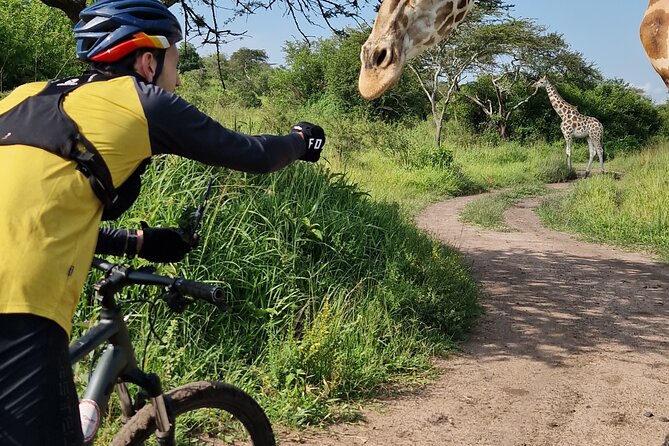 2 Days Cycling Safari To Lake Mburo National Park - Riding along the park edge