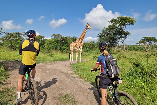 2 Days Cycling Safari To Lake Mburo National Park - The guide can make or break the ride