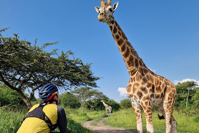 2 Days Cycling Safari To Lake Mburo National Park - One night of full-board accommodation