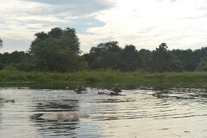 2 Days Family Safari to Murchison Falls Park Uganda - Starting early from Abayita Ababiri