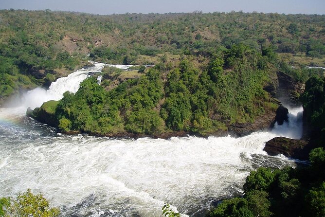 2 Days Murchison Falls Park Vacation - Key points to know before booking