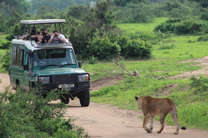2 Days Murchison Falls Park Vacation - Why this two-day Uganda safari works