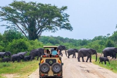 2 Days Murchison Falls Park Vacation