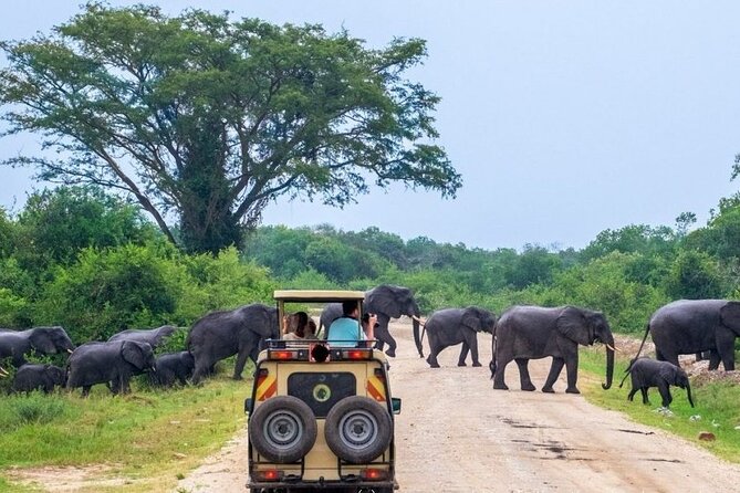 2 Days Murchison Falls Park Vacation - Nile Breeze Lodge and the overnight stop