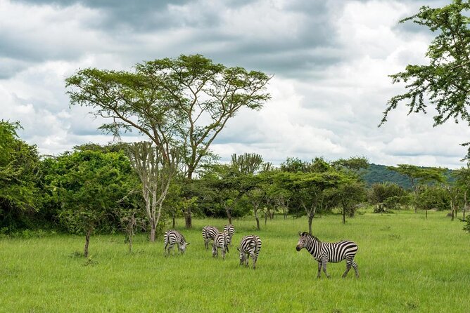 2 Days Popular Safari to Lake Mburo National Park - Key points to know before you book