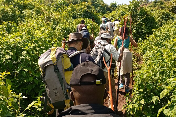2 Days Sipi Falls Hike and Coffee Tour - Day 2: Hiking to all three Sipi Falls