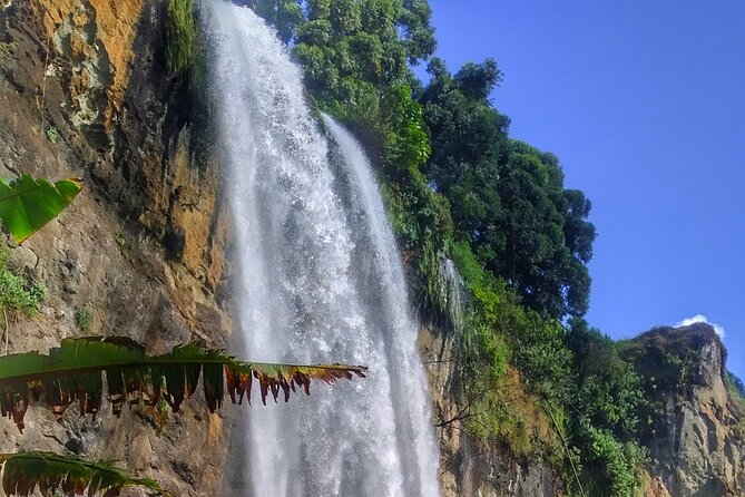 2 Sipi Falls hike and Coffee Tour Experience - The coffee visit is more than a tasting stop