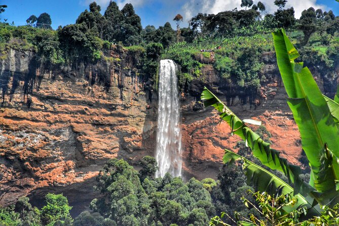 2 Sipi Falls hike and Coffee Tour Experience - What $40 really buys you