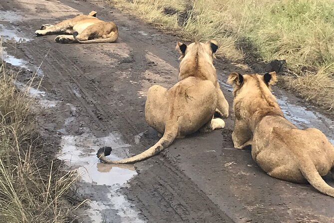 25 day uganda Rwanda kenya and Tanzania safari Zanzibar inclusive - The Isebania border makes day 16 a serious transfer