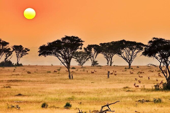 25 day uganda Rwanda kenya and Tanzania safari Zanzibar inclusive - Queen Elizabeth and Lake Bunyonyi slow the rhythm