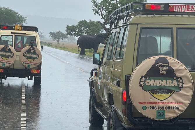 2Days Murchison Falls NP Safari - The return to Kampala and what the timing requires