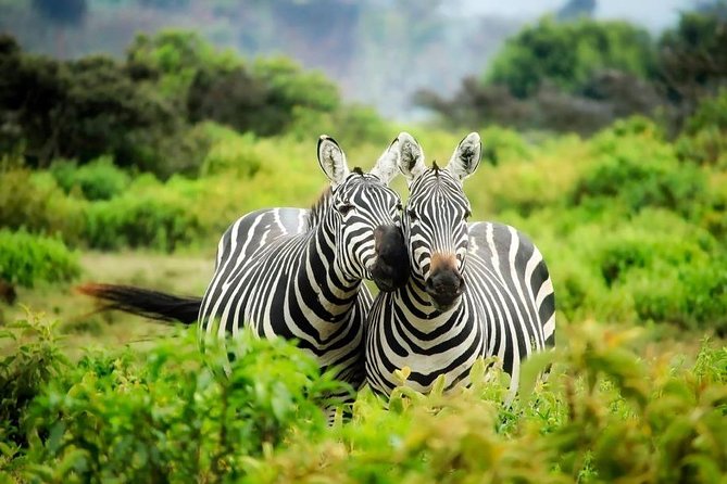 3-Day Mind Refreshing in Murchison Falls National Park - Day 3: Walking to the top of the falls