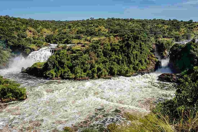 3-Day Mind Refreshing in Murchison Falls National Park - Day 2: Game drives across the northern savanna