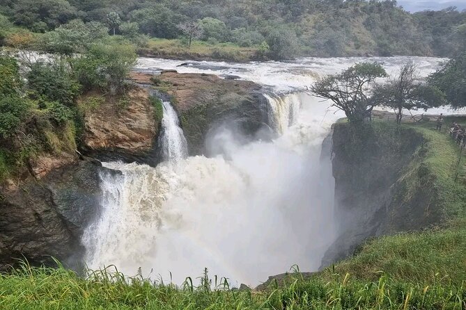 3 Day Murchison Falls' BIG 5 and Wildlife viewing Safari - The guide and vehicle can shape the whole trip