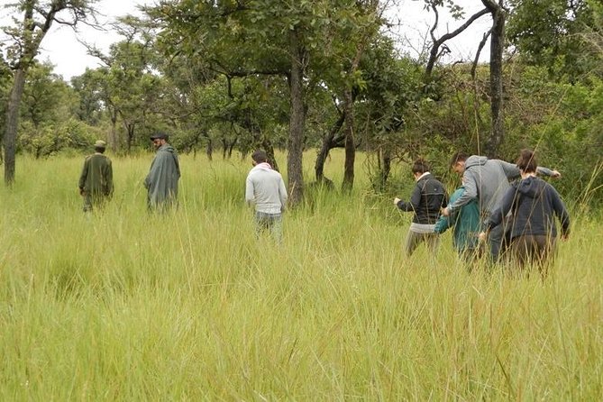 3-Day Murchison Falls National Park - Adventure Safari - Why this three-day route works