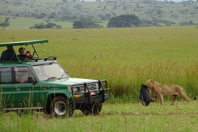 3-Day Murchison Falls National Park - Adventure Safari - The Victoria Nile boat cruise