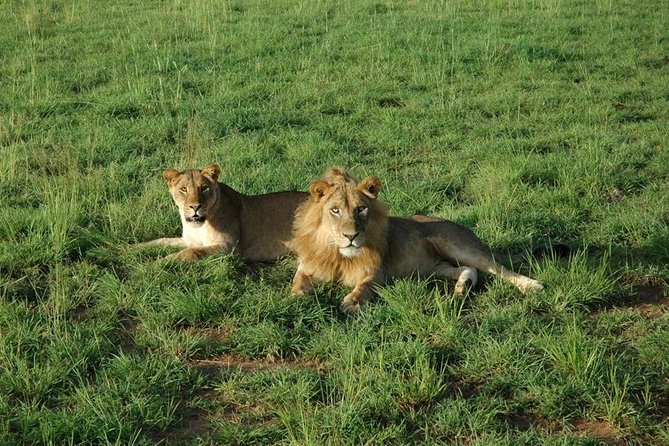 3-Day Murchison Falls National Park - Adventure Safari - What the $1,580 price really means