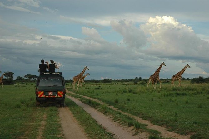 3-Day Murchison Falls National Park - Adventure Safari - Who should book this safari