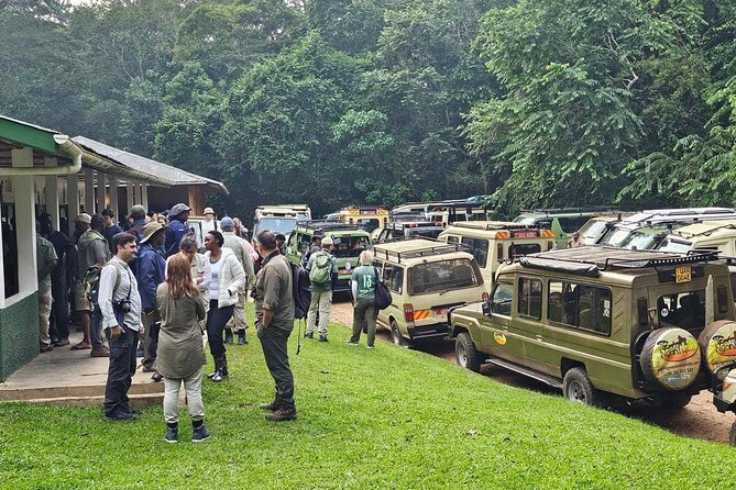 3-Day Private Guided Gorilla Trekking In Uganda - The private format and the guide relationship