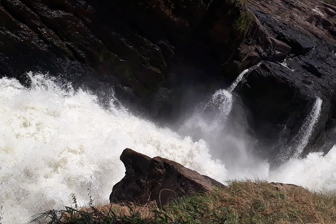 3 Day Private safari to Murchison Falls National Park with Big Five Experience - Key points to know before you book
