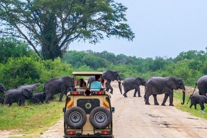 3-Day Safari in Queen Elizabeth National Park Uganda from Kampala - Why Queen Elizabeth National Park makes a strong short safari