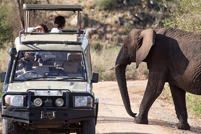 3-Day Safari in Queen Elizabeth National Park Uganda from Kampala - Guides, service, and what to confirm