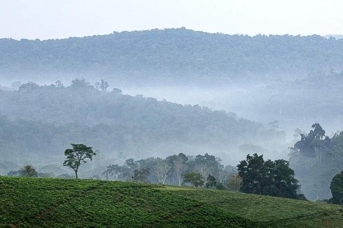 3-Day Tour to Uganda - Gorilla Trekking Bwindi Forest - Day 1: Kampala to Bwindi with an Equator stop