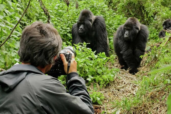 3 Day Uganda Gorilla Trekking and Batwa Pygmies Experience - The Batwa experience needs a direct question